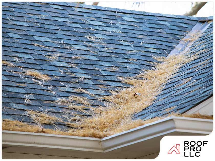 Your Roof S 3 Biggest Natural Enemies