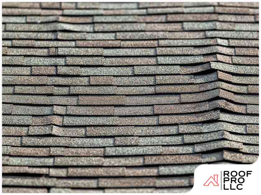 Asphalt Shingle Blisters